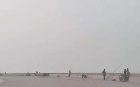 快乐的钓鱼作文600字