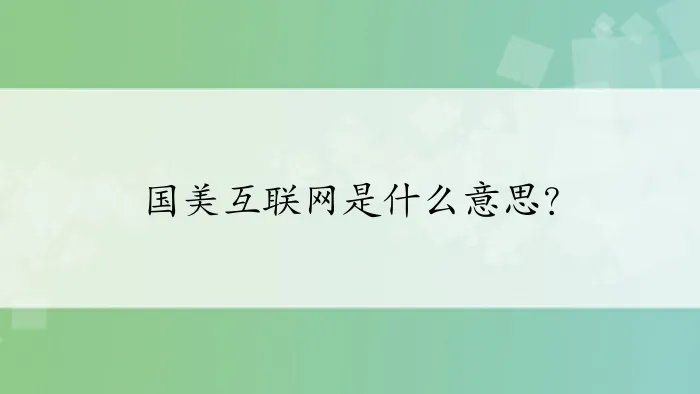 国美互联网是什么意思？