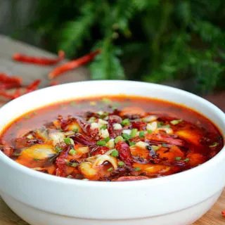 川菜家常菜谱大全 轻松在家DIY做川菜