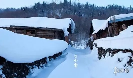 小雪节气图片大全 小雪节气高清壁纸分享
