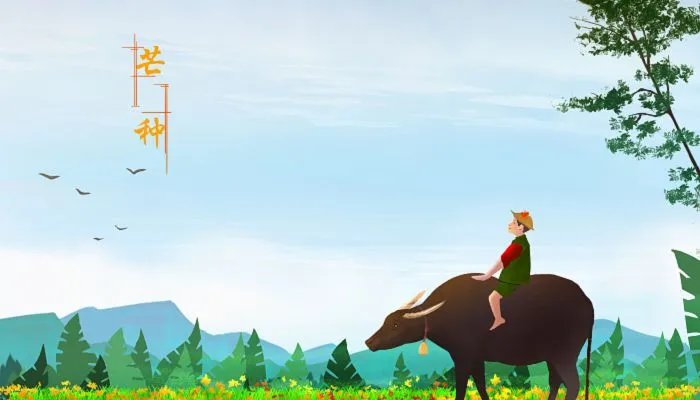 二十四节气的简单介绍 二十四节气每个节气的介绍