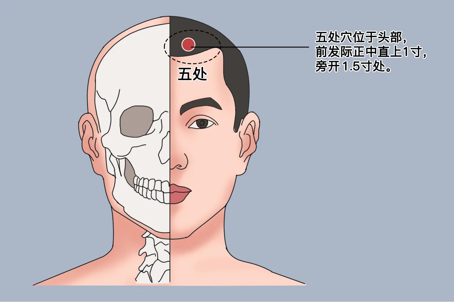 五处的准确位置图和作用