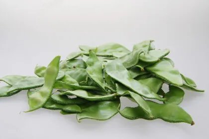 芸豆和豆角的区别