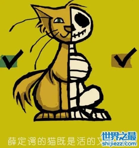 薛定谔的处女是什么意思,是不是处女试试就知道