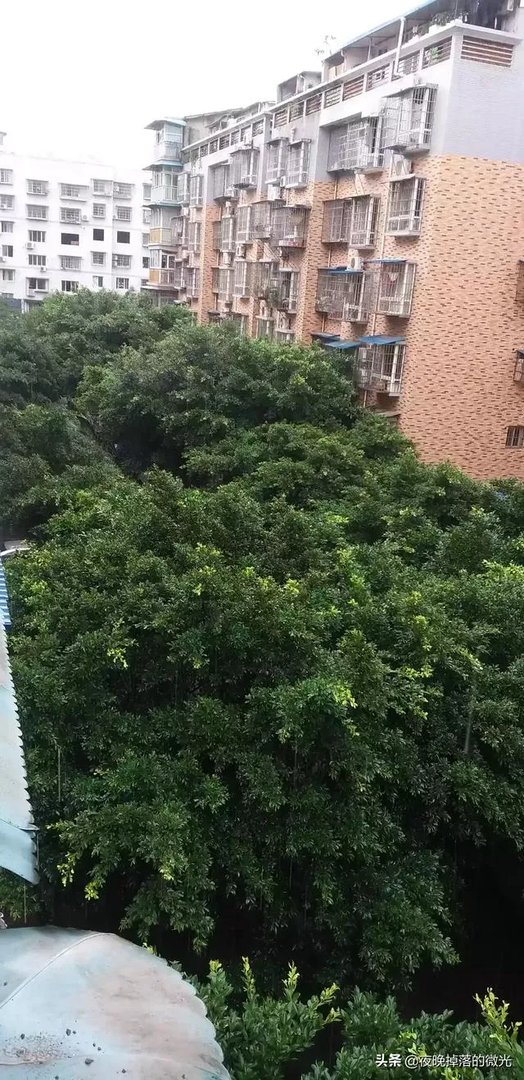 南充顺庆二手房