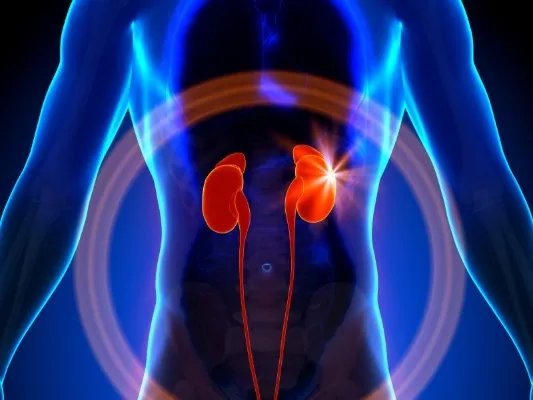 肾功能不好的原因