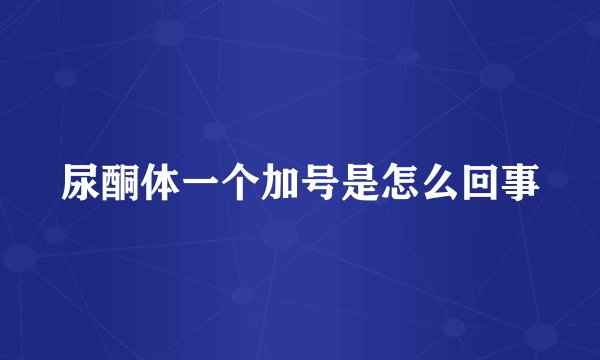 尿酮体一个加号是怎么回事