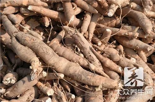 牛蒡是山药吗？