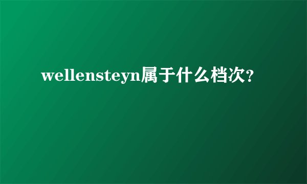 wellensteyn属于什么档次？
