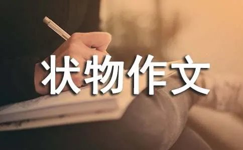 状物作文600字