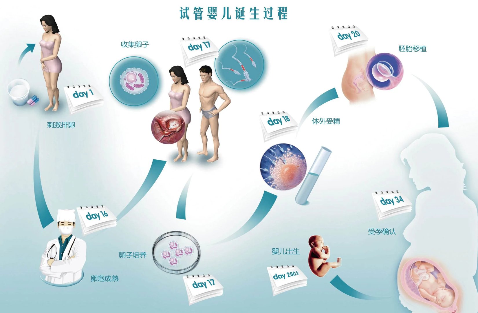 上海供卵试管-上海捐卵捐精三代试管多少钱？ 一次要多少钱？