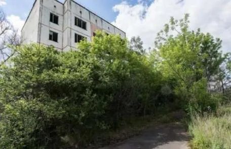 切尔诺贝利事故的影响是什么 切尔诺贝利事故的评价如何