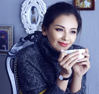 刘涛合成照片大全 揭娱乐圈豪门阔太练成史