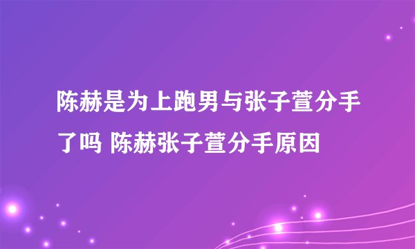 陈赫是为上跑男与张子萱分手了吗 陈赫张子萱分手原因