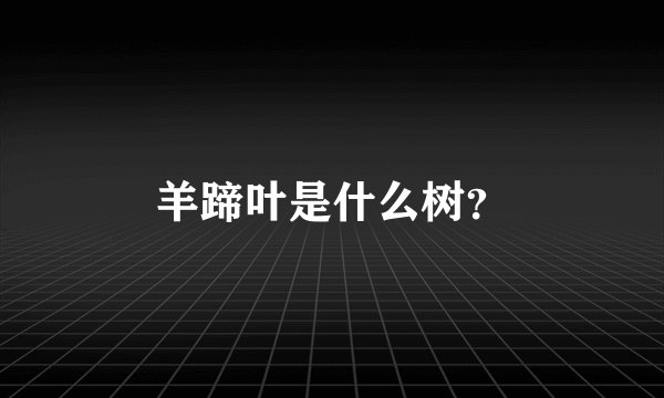 羊蹄叶是什么树？