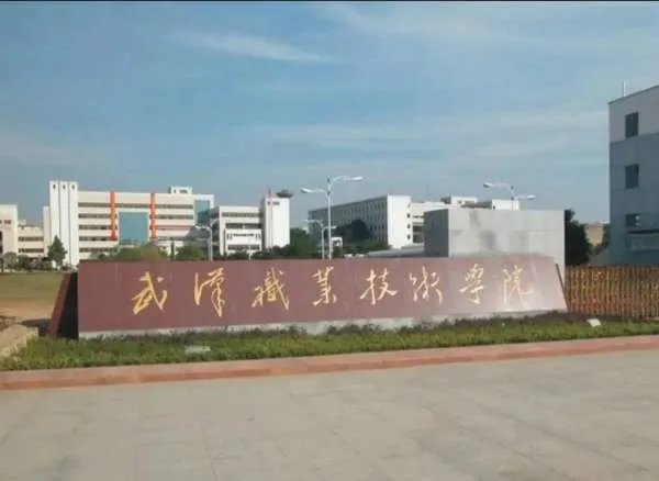 武汉职业技术学院有哪些专业