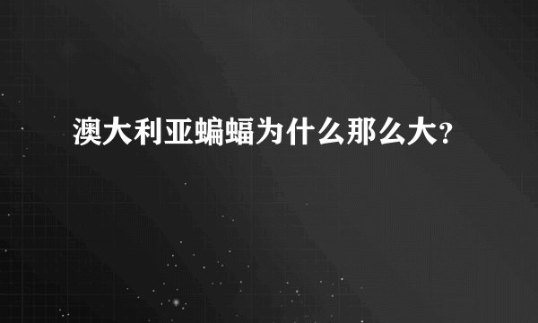澳大利亚蝙蝠为什么那么大？