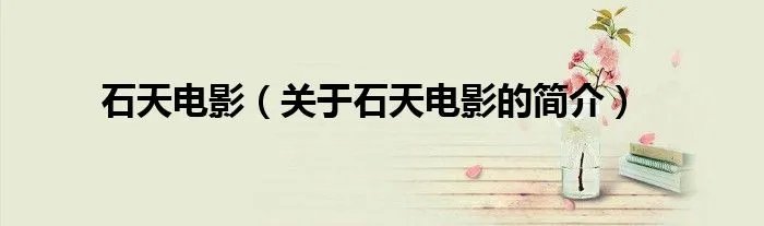 石天电影（关于石天电影的简介）