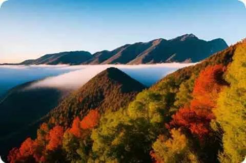 言情 文笔好 肉推荐古言，经典言情小说推荐。要经典，公认的好看那种