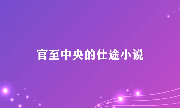 官至中央的仕途小说