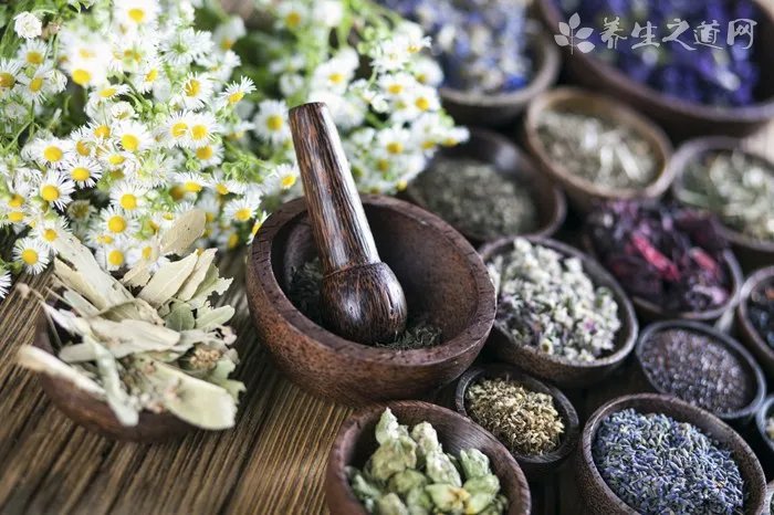 午子绿茶怎么样,午子绿茶的口感和简介