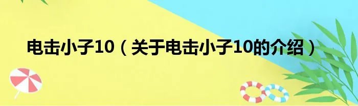 电击小子10（关于电击小子10的介绍）