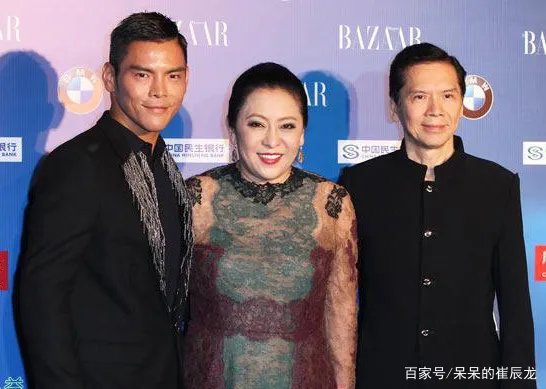 向太陈岚为何只捧向佐，却对向佑只字不提，有两个儿子为什么这么偏心？