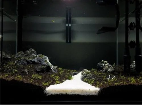 初学者水草缸造景教程 初学者的你进来看看