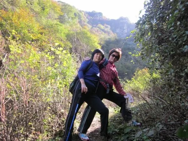 孽恋情缘：山村多情女人花的背景故事：