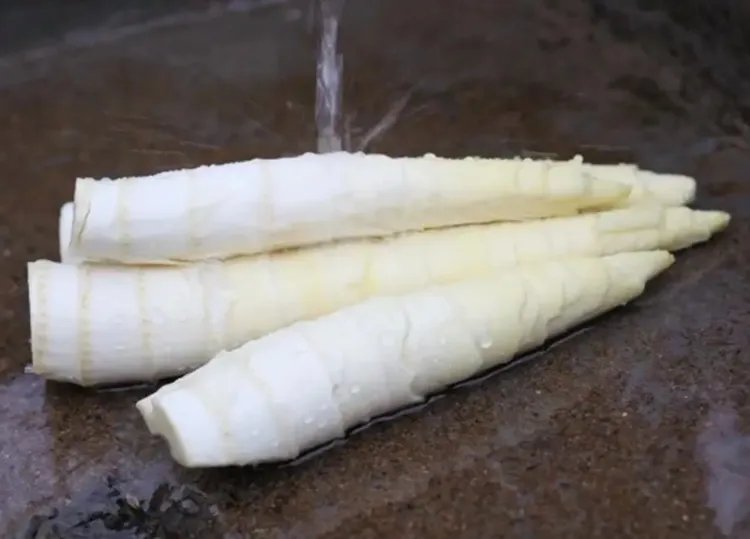 笋的功效与作用