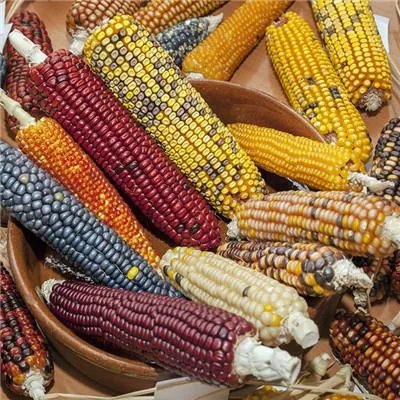 不同类型爱情恐惧症的原因