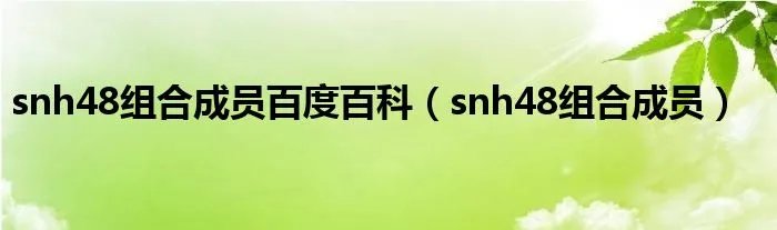 snh48组合成员百度百科（snh48组合成员）