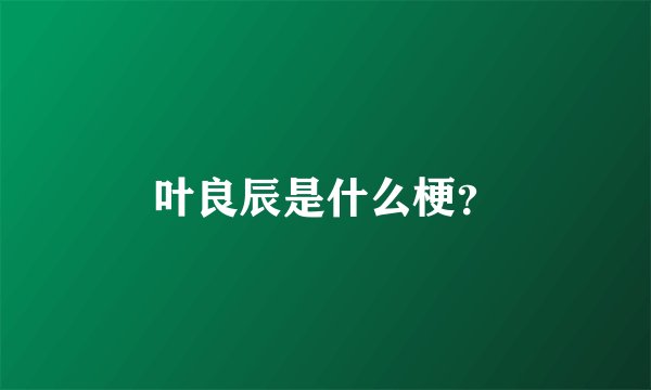 叶良辰是什么梗？