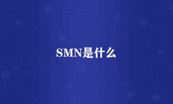 SMN是什么