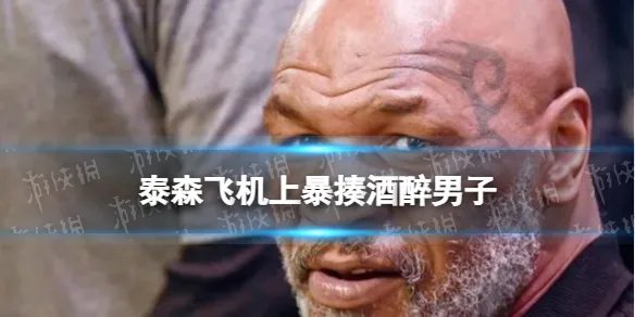 泰森飞机上暴揍酒醉男子 泰森飞机上被骚扰