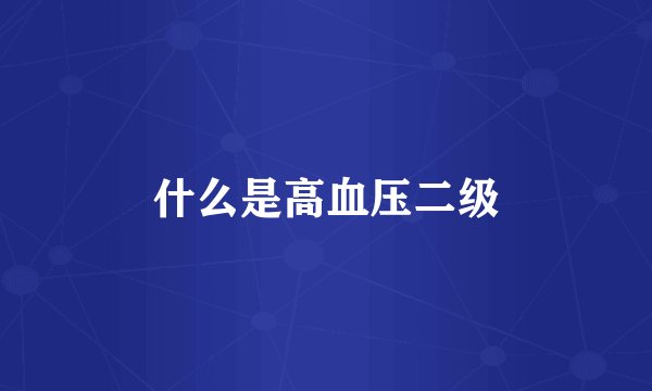 什么是高血压二级