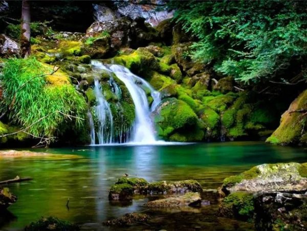 安吉旅游景点排名前十有哪些？