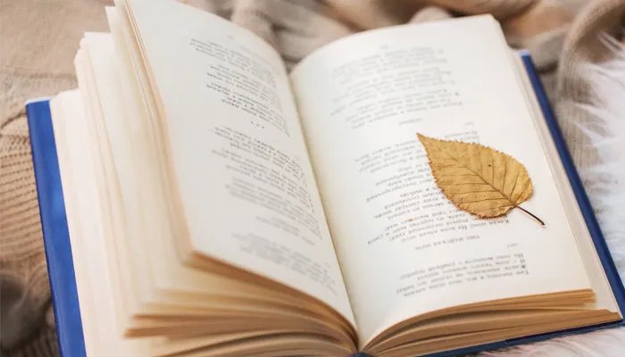 洛阳纸贵的主人公