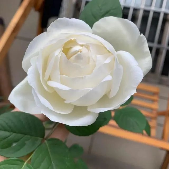 袁隆平院士逝世,为什么很多人很悲伤?