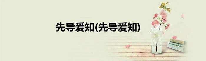 先导爱知(先导爱知)