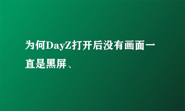 为何DayZ打开后没有画面一直是黑屏、
