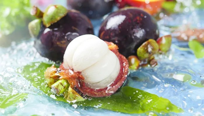 山竹长在土里还是树上 山竹是长在树上还是地上