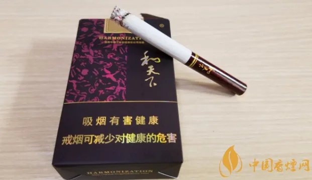 6种和天下香烟价格表图片大全 目前湖南白沙和天下多少一包