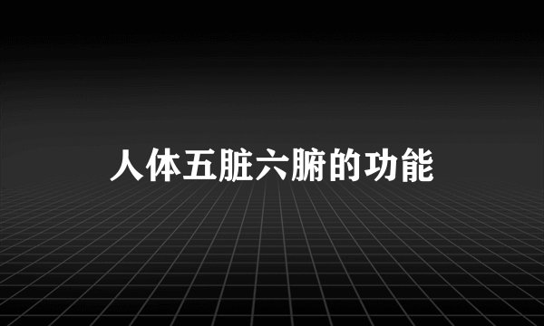 人体五脏六腑的功能