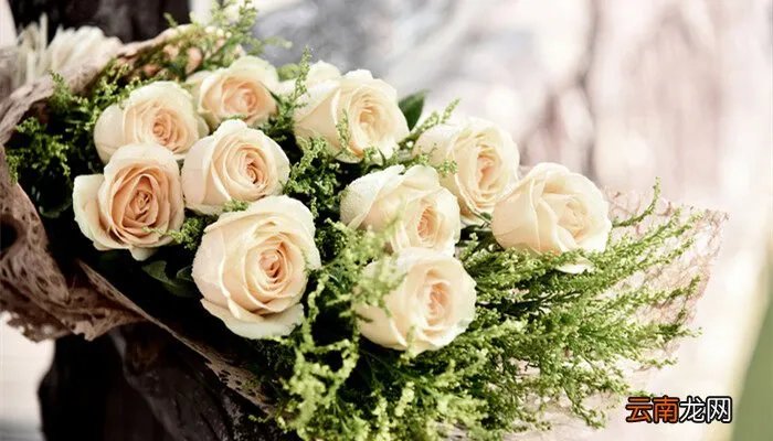 66朵白玫瑰花语，十九朵白玫瑰的花语？