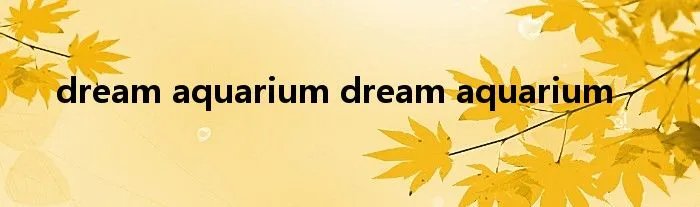 dream aquarium dream aquarium
