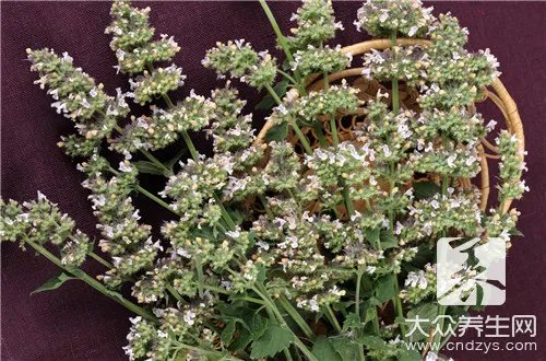 荆芥怎么做好吃