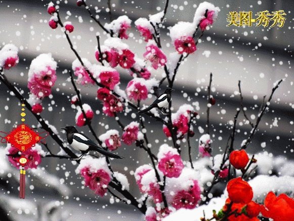 无本生意该怎么做？