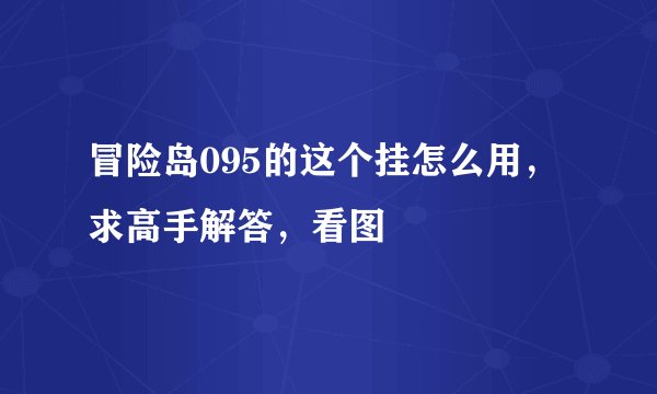 冒险岛095的这个挂怎么用,求高手解答,看图