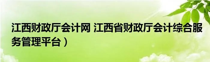 江西财政厅会计网 江西省财政厅会计综合服务管理平台）